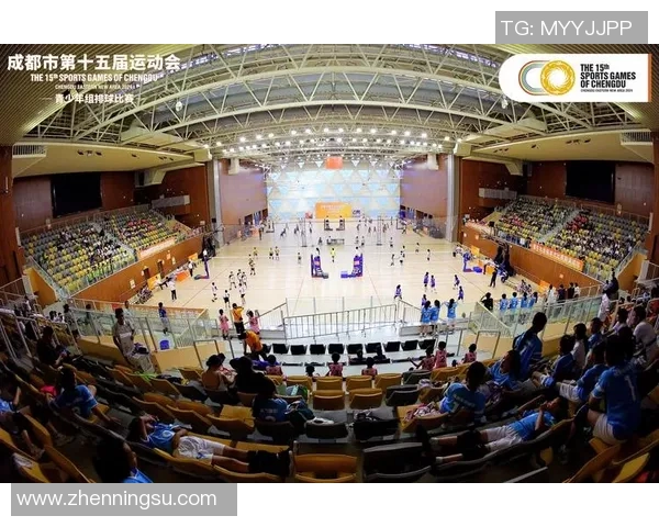 成都排球队的节奏与魅力探秘：排球运动在城市中的发展与影响