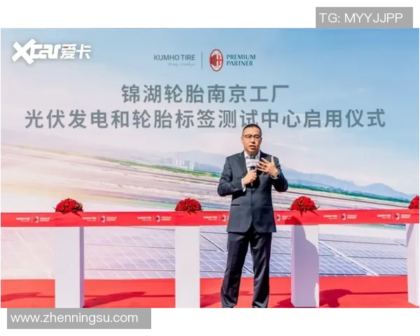 南京乒乓球队的节奏与发展动态深度解析与未来展望