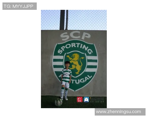 南京网球队的崛起之路联合会杯背后的奋斗与荣耀