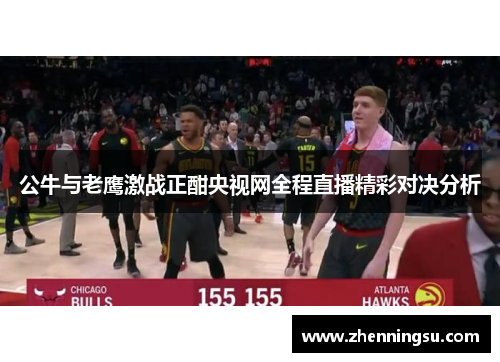 公牛与老鹰激战正酣央视网全程直播精彩对决分析