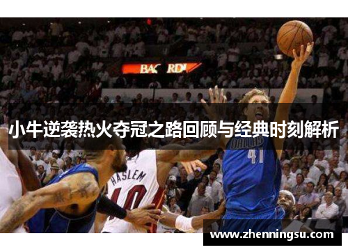 小牛逆袭热火夺冠之路回顾与经典时刻解析